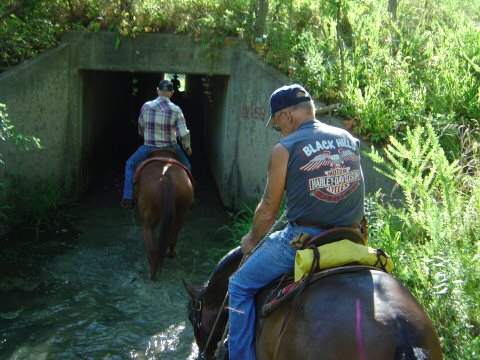 Trail Riding  at Nickols Park Equestrian Riding Trails